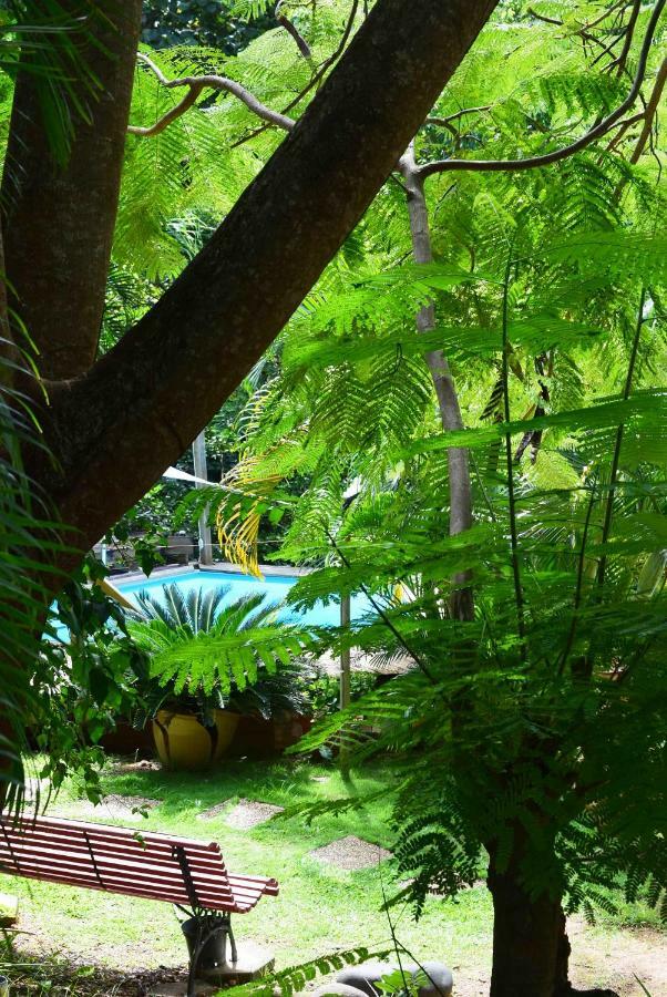Appartamento Ecolokay Trinite  Esterno foto